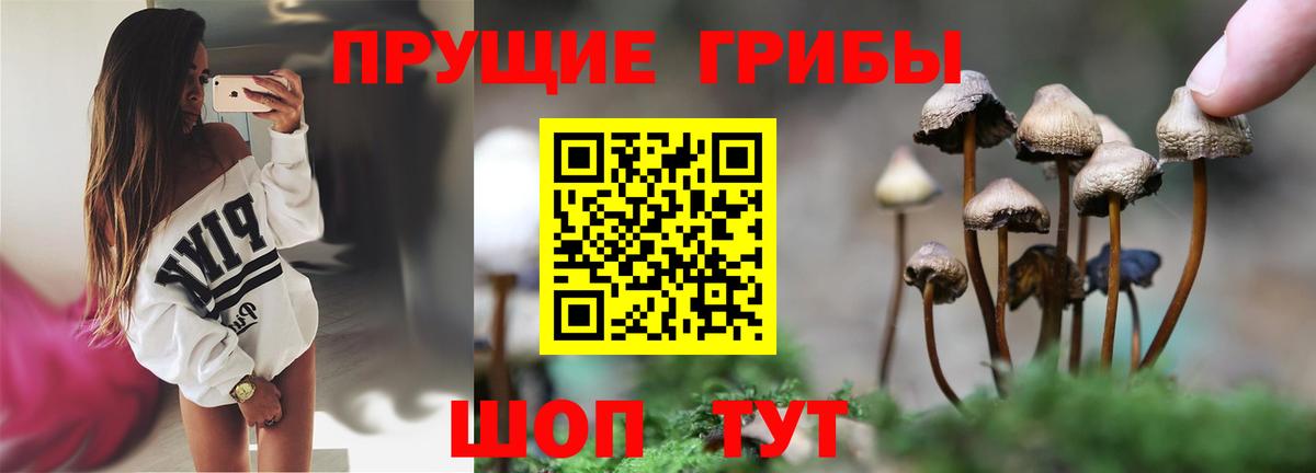 Псилоцибиновые грибы Psilocybine cubensis  Галлюциногенные грибы мухоморы  Ульяновск  Вход с VPN 